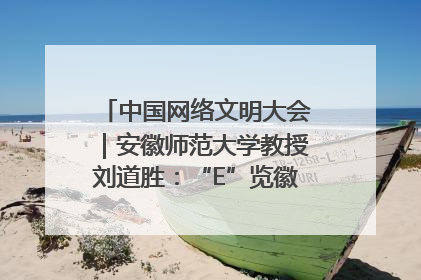 中国网络文明大会｜安徽师范大学教授刘道胜：“E”览徽风，构筑中华民族共有精神家园