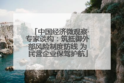 中国经济微观察·专家谈构：筑抵御外部风险制度防线 为民营企业保驾护航