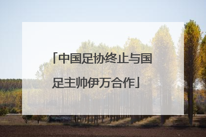 中国足协终止与国足主帅伊万合作