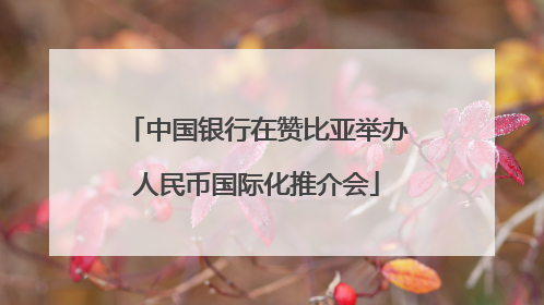 中国银行在赞比亚举办人民币国际化推介会