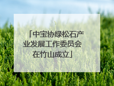 中宝协绿松石产业发展工作委员会在竹山成立