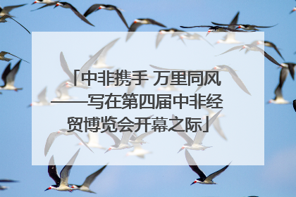 中非携手 万里同风——写在第四届中非经贸博览会开幕之际