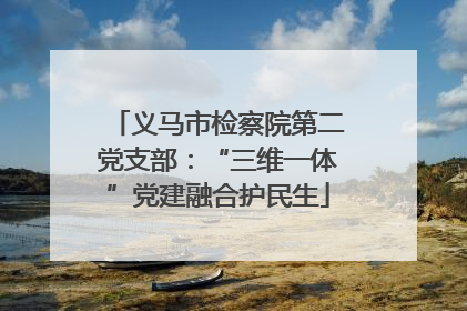 义马市检察院第二党支部：“三维一体”党建融合护民生