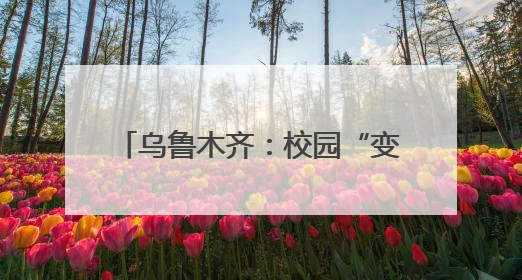 乌鲁木齐：校园“变身”游乐场 小学生闯关测评学习能力