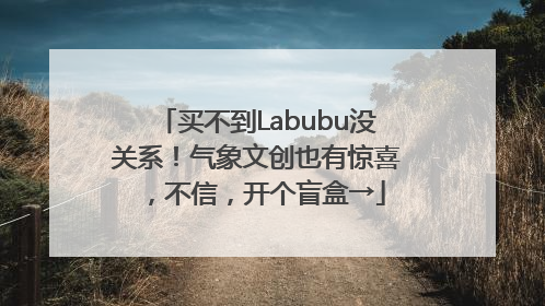 买不到Labubu没关系！气象文创也有惊喜，不信，开个盲盒→