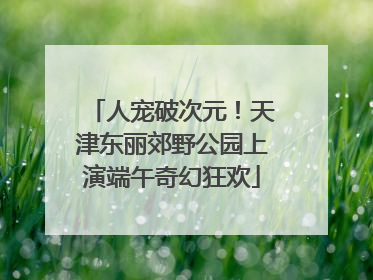 人宠破次元！天津东丽郊野公园上演端午奇幻狂欢