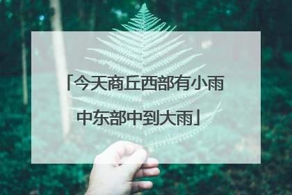 今天商丘西部有小雨 中东部中到大雨