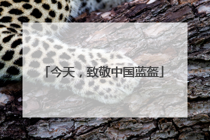 今天，致敬中国蓝盔