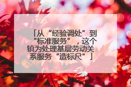 从“经验调处”到“标准服务”，这个镇为处理基层劳动关系服务“造标尺”