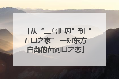 从“二鸟世界”到“五口之家” 一对东方白鹳的黄河口之恋