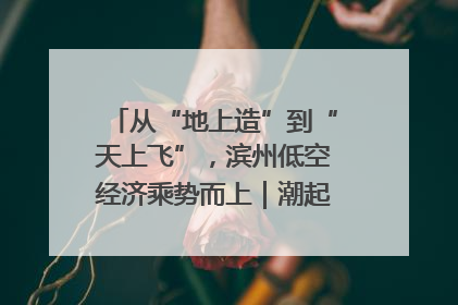 从“地上造”到“天上飞”，滨州低空经济乘势而上｜潮起渤海・网聚黄蓝