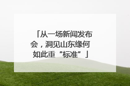 从一场新闻发布会，洞见山东缘何如此重“标准”