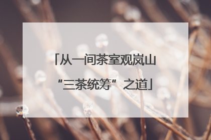 从一间茶室观岚山“三茶统筹”之道