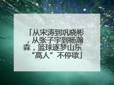 从宋涛到巩晓彬，从张子宇到杨瀚森，篮球逐梦山东“高人”不停歇