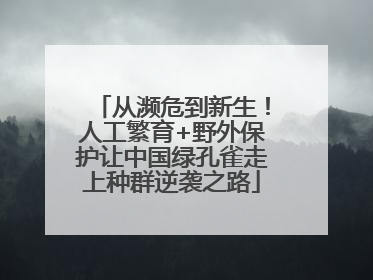 从濒危到新生！人工繁育+野外保护让中国绿孔雀走上种群逆袭之路