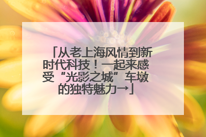 从老上海风情到新时代科技！一起来感受“光影之城”车墩的独特魅力→