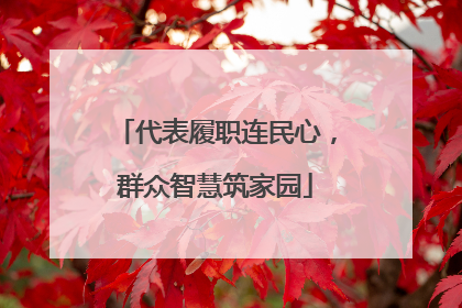 代表履职连民心，群众智慧筑家园