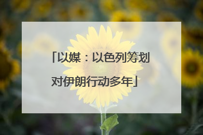 以媒：以色列筹划对伊朗行动多年