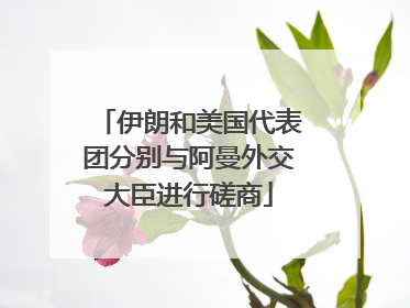 伊朗和美国代表团分别与阿曼外交大臣进行磋商