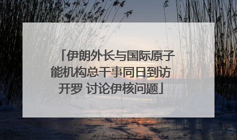 伊朗外长与国际原子能机构总干事同日到访开罗 讨论伊核问题