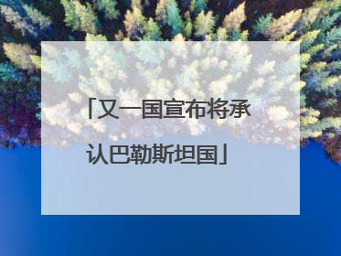 又一国宣布将承认巴勒斯坦国