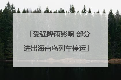 受强降雨影响 部分进出海南岛列车停运