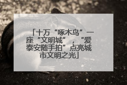 十万“啄木鸟”一座“文明城”，“爱泰安随手拍”点亮城市文明之光