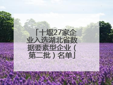 十堰27家企业入选湖北省数据要素型企业（第二批）名单
