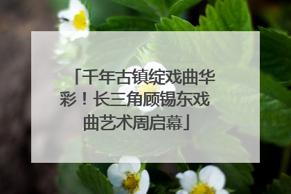 千年古镇绽戏曲华彩！长三角顾锡东戏曲艺术周启幕