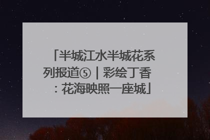 半城江水半城花系列报道⑤｜彩绘丁香：花海映照一座城