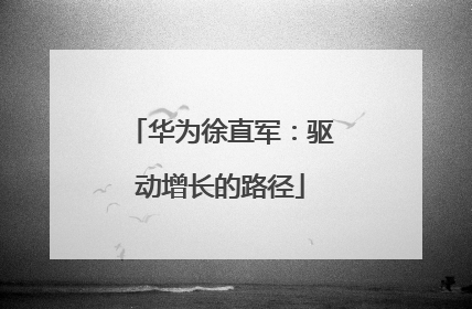 华为徐直军：驱动增长的路径