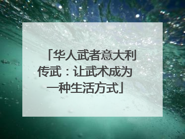 华人武者意大利传武：让武术成为一种生活方式
