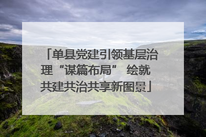 单县党建引领基层治理“谋篇布局” 绘就共建共治共享新图景