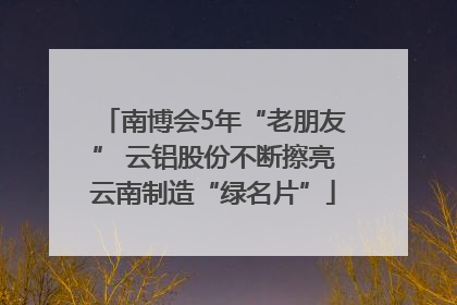 南博会5年“老朋友” 云铝股份不断擦亮云南制造“绿名片”