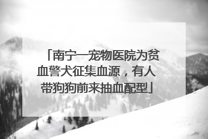 南宁一宠物医院为贫血警犬征集血源，有人带狗狗前来抽血配型