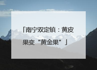 南宁双定镇：黄皮果变“黄金果”