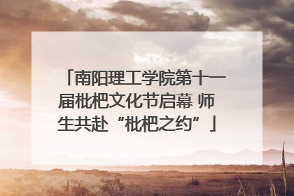 南阳理工学院第十一届枇杷文化节启幕 师生共赴“枇杷之约”