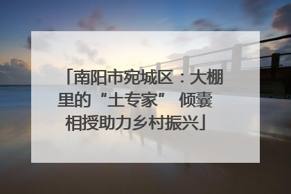 南阳市宛城区：大棚里的“土专家” 倾囊相授助力乡村振兴