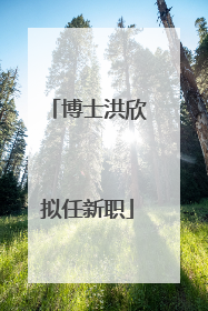 博士洪欣拟任新职