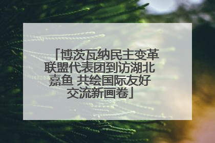 博茨瓦纳民主变革联盟代表团到访湖北嘉鱼 共绘国际友好交流新画卷
