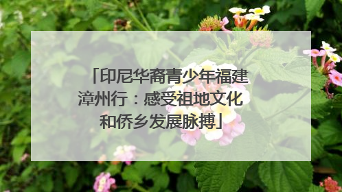 印尼华裔青少年福建漳州行：感受祖地文化和侨乡发展脉搏