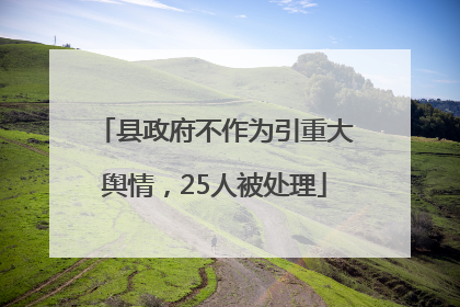 县政府不作为引重大舆情，25人被处理