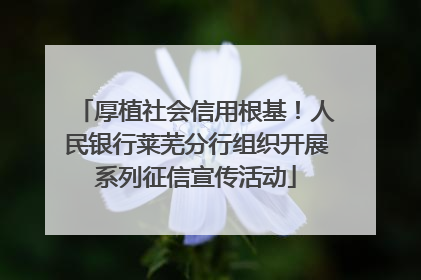 厚植社会信用根基！人民银行莱芜分行组织开展系列征信宣传活动