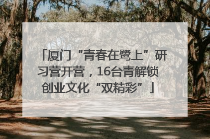 厦门“青春在鹭上”研习营开营，16台青解锁创业文化“双精彩”