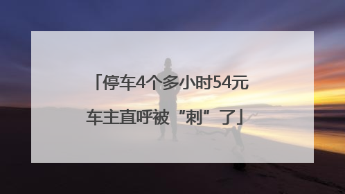 停车4个多小时54元 车主直呼被“刺”了