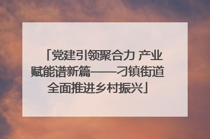 党建引领聚合力 产业赋能谱新篇——刁镇街道全面推进乡村振兴