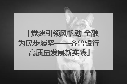 党建引领风帆劲 金融为民步履坚——齐鲁银行高质量发展新实践