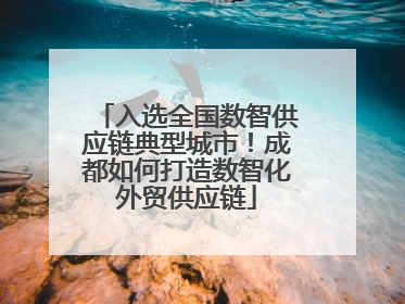 入选全国数智供应链典型城市！成都如何打造数智化外贸供应链