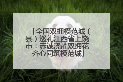 全国双拥模范城（县）巡礼江西省上饶市：赤诚浇灌双拥花 齐心同筑模范城