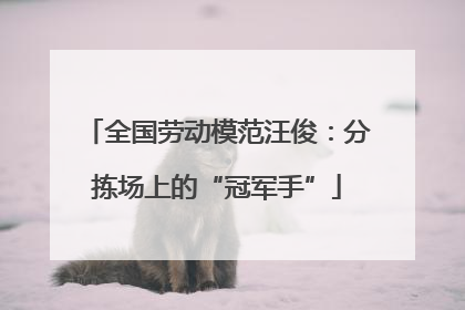全国劳动模范汪俊：分拣场上的“冠军手”